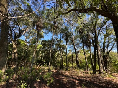 Vendo Terreno Amurallado De 8407 M2 En Villeta! Precio Conversable!
