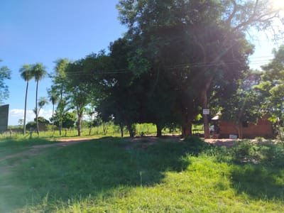 VENDO TERRENO EN PARAGUARI