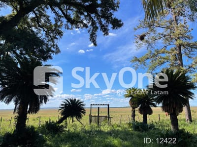VENDO ESTANCIA EN MISIONES 