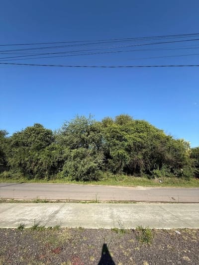 VENDO TERRENOS EN JOSÉ FALCÓN EXCELENTE UBICACIÓN Y GRAN POTENCIAL