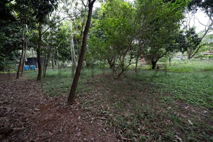 Venta de Terreno en Altos, Cordillera