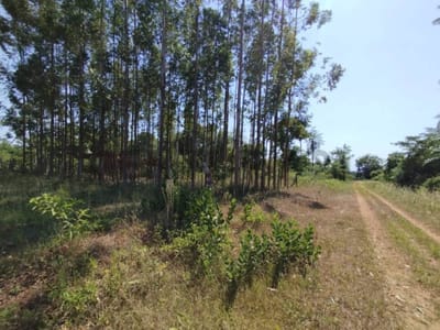 Venta de Terreno en Itauguá, Central