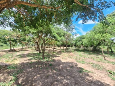 TERRENOS EN VENTA ZONA ESTE | ALTA PLUSVALÍA URB. SAN SILVESTRE