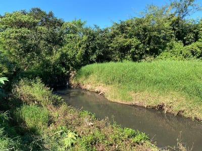 24 HECTÁREAS EN ISLA BOGADO - LUQUE