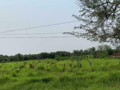 Terreno sobre la Transchaco En Villa Hayes 