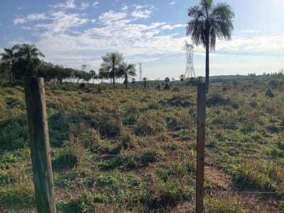 PROPIEDAD DE 18HECTAREAS EN YTAKYRY