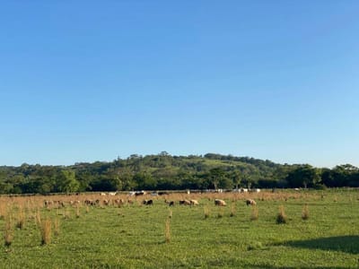 Estancia en venta Sobre Ruta Acahay Camino A La Colmena