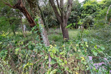VENDO Terreno 706 m2 sobre ruta - Dr. Federico Chavez, Altos