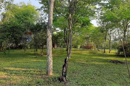 TERRENO 8 HECTAREAS VENTA ZONA DE CAACUPE