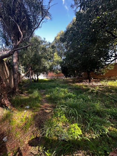 VENDO TERRENO - LAS LOMAS A 200MT DE MOLAS LOPEZ