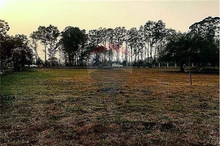 Terreno - Venta - Luque, Central, Paraguay