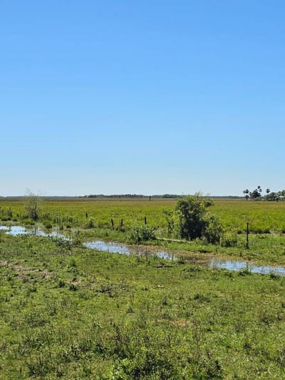 VENDO 3MIL HECTÁREAS EN PILAR