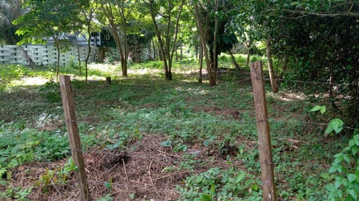 En Porongo, A 1.5km de La Plaza, Lindo Terreno de 1110m2