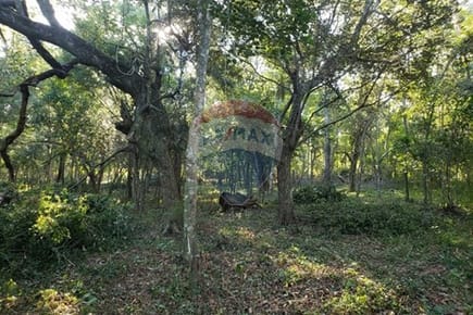 TERRENO EN VENTA, ALTOS