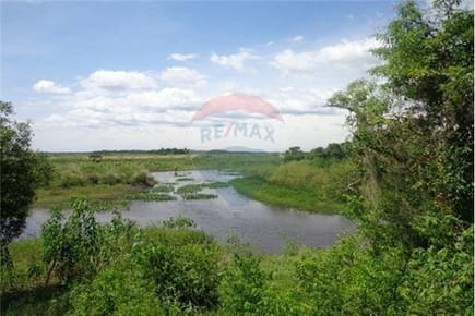 Vendo campo de 540 hectáreas en Juan de Mena Cordillera 