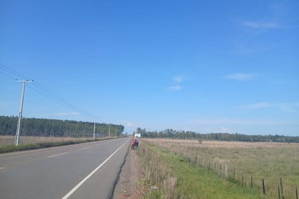 VENDO HECTAREAS SOBRE RUTA 