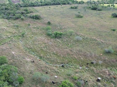 VENDO 19 HECTÁREAS EN SAN IGNACIO – MISIONES