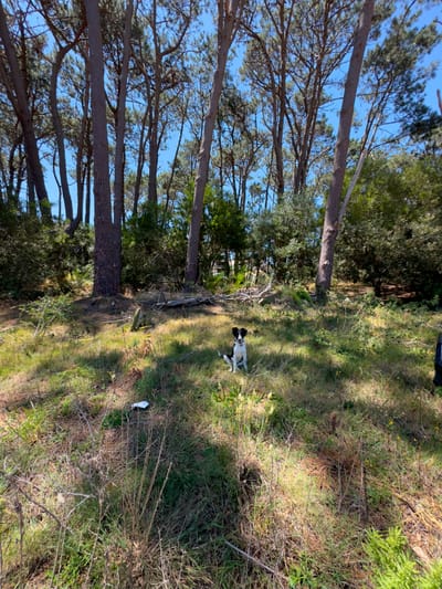 Lote 20 Reserva Montoya - Dueño Vende