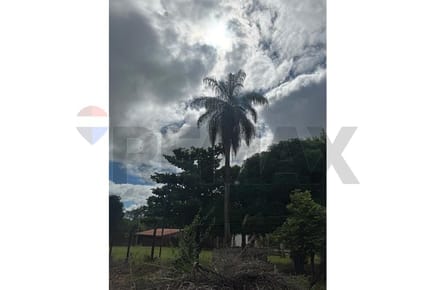Terreno - Venta - Altos, Cordillera, Paraguay
