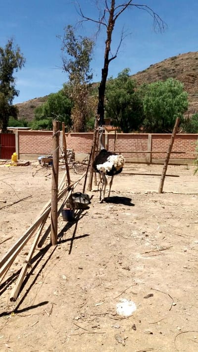 EN VENTA, HERMOSO LOTE