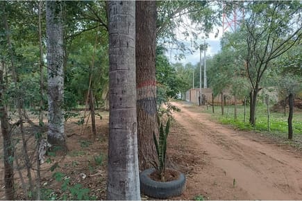 Casa con amplio terreno en venta – Ypané