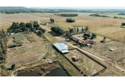 CAMPO PRODUCTIVO DE 391 HECTÁREAS EN YBYTYMÍ – PARAGUARÍ