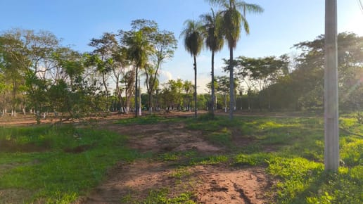 VENDO LOTES EN LA CIUDAD DE LUQUE ZONA ITAPUAMI