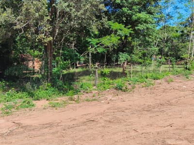 Venta Terreno Esquina en Ciervo Cua, San Bernardino