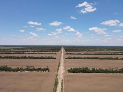 493 Hectáreas Agrícolas sobre Carretera