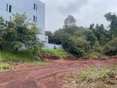 VENDO TERRENO EN BARRIO PABLO ROJAS CIUDAD DEL ESTE