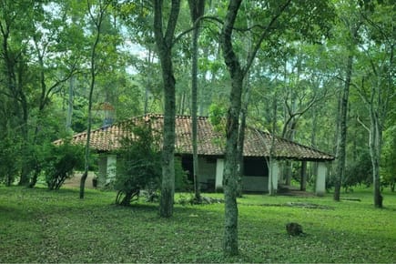 TERRENO 8 HECTAREAS VENTA ZONA DE CAACUPE