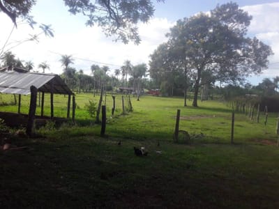 Granja en Venta en Piribebuy