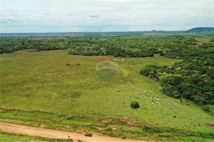 VENDO CAMPO HERMOSO DE 18 HECTAREAS EN VILLARRICA