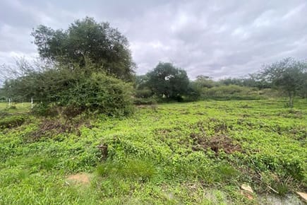 Terreno-Venta-A 1 cuadra de Ykua Roty, Zárate Isla, Luque, Central