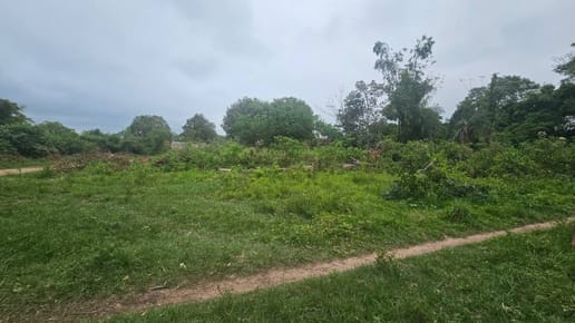 EN VENTA TERRENO EN YPANE - San Isidro - Zona Cervepar