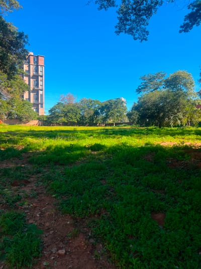 ALQUILO TERRENO 6814M² SOBRE PRIMER PRESIDENTE, MBURUCUYÁ*