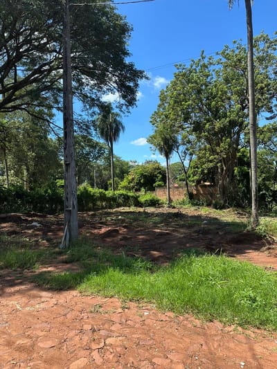 Terreno