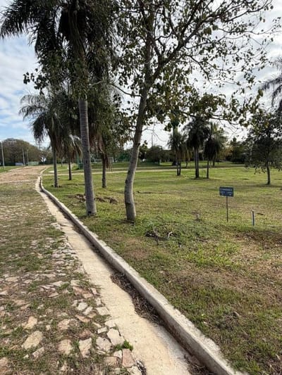 Excelente opción: LOTES EN VENTA – BARRIO CERRADO MARTINA | SAN BERNARDINO