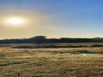 vendo Estancia ubicada en el Chaco Paraguayo