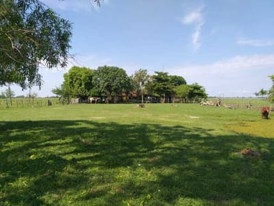 EN VENTA DE 411 HECTÁREAS EN ESTERO KAMBA