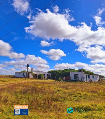 **RESERVADO**Vendo campo 267has sobre Ruta 19 km 19. Paraje Isla Negra