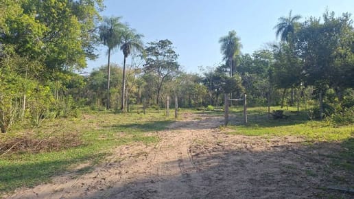 VENTA - Terreno 12 ha arbolado con vistas - Nueva Colombia, Cordillera