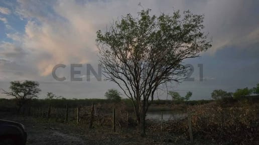 Vendo campo ganadero en Tte. Prim. Manuel Irala Fernandez