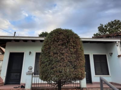 En venta amplia propiedad en una ubicación estratégica en el barrio Ciudad Nueva