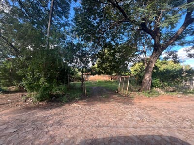 ¡Oportunidad única en Lambaré! Venta de terreno