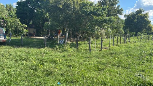 EN VENTA PROPIEDAD DE 30 HECTAREAS EN PIRAYU/CERRO VERA