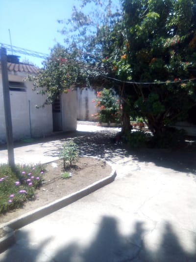 Venta Casa y APTO En Padron De 600 Mts