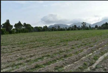 VENDO CHACRA EN HUARAL