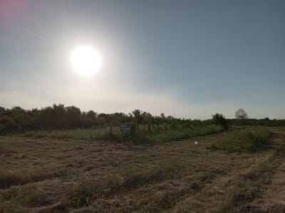 Terreno  3 Hectáreas En Paso De La Arena