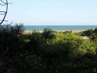 GRAN TERRENO EN SAN ANTONIO CON VISTAS